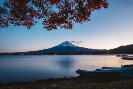 Viaje organizado a Japón en 2024